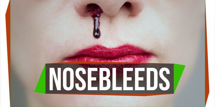 Why are Noses so Prone to Bleeding?