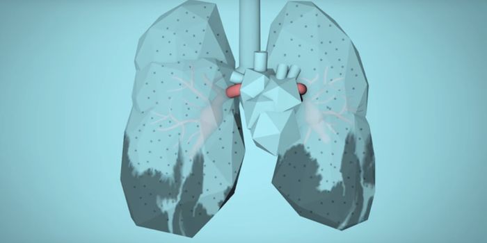 Even Brief Exposure to Air Pollution Can Affect Gene Expression