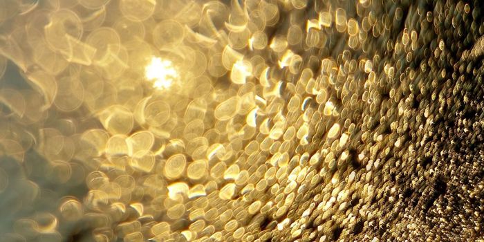 The Hidden Influence of Hormonal Contraception on Immune Cells