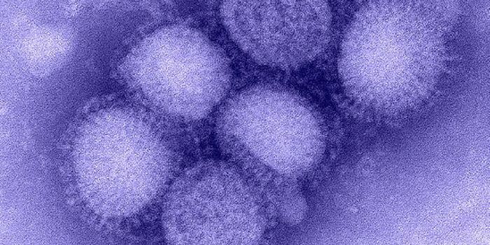 Universal Vaccine for Multiple Influenza Viruses