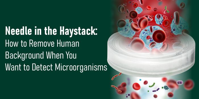 Needle in the haystack: How to remove human background when you want to detect microorganisms