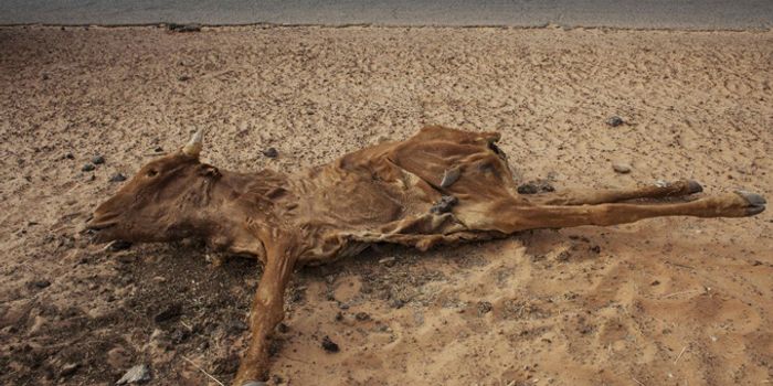 Reduced air pollution could mean more rain