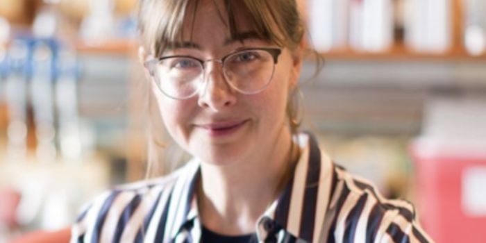 Family of Ocean Viruses can Destroy Bacteria