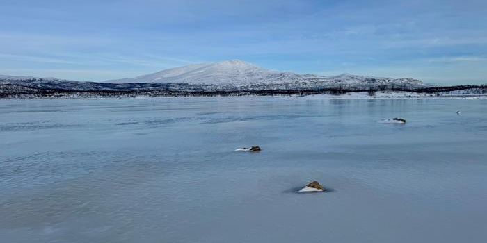 Salinity Shapes How Ice Dissolves Iron Minerals