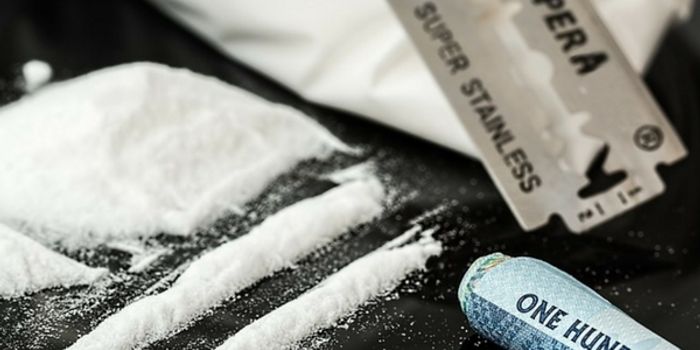 Can We Prevent Addiction?