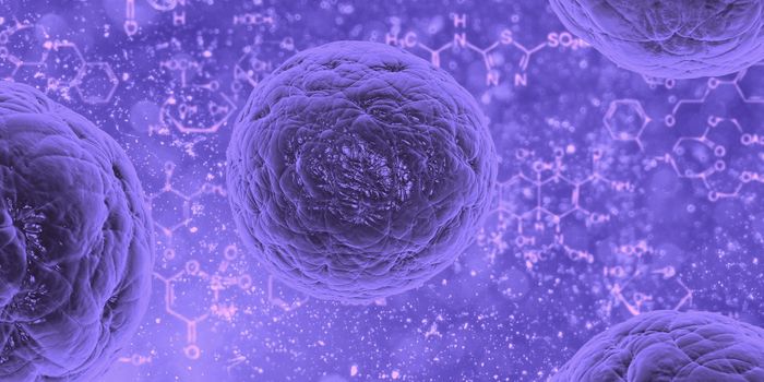 Single-Cell Atlas Reveals Gene Activity Across Human Tissues