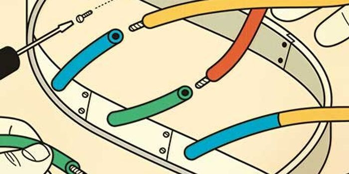 Venter engineers smallest genome yet