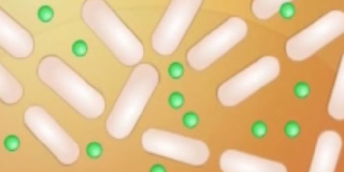 A Cell Phone for the Microbiome