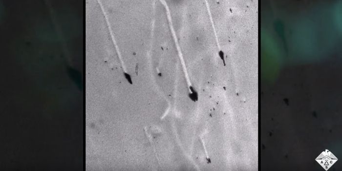 Eliminating Biofilms with Green Tea-Derived Nanobots