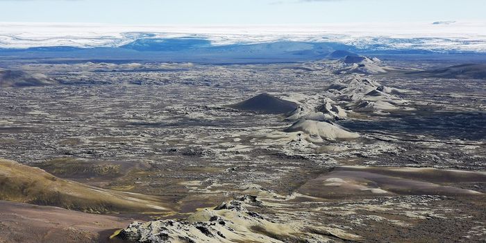 When did plate subduction begin on Earth?