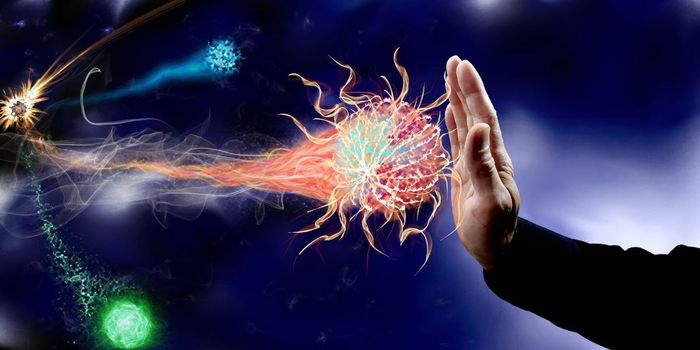 Does Cannabis Damage the Immune System?