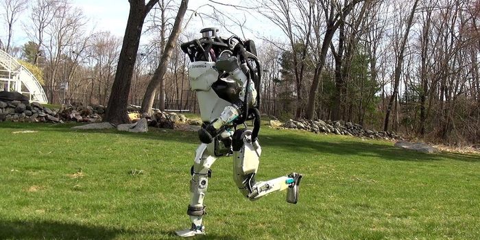 Atlas the Robot Goes Jogging in Suburbia: Video