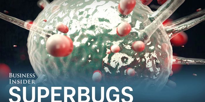 Why Superbugs are a Whopping $100 Trillion Risk
