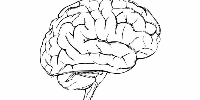 Imaging Neural Connections in the Brain Precisely