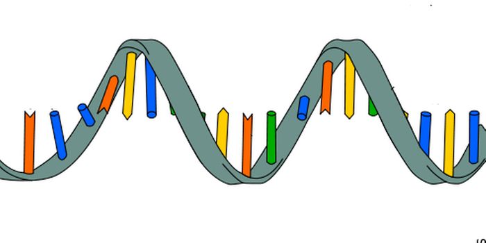 RNA Modification Found to be Important to Neural Development