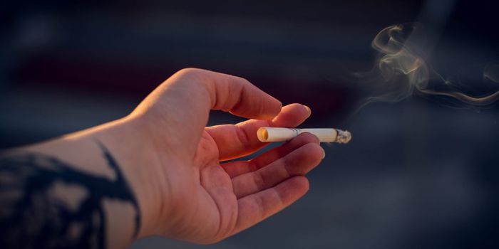 Mutations form in specific genomic patterns based on external and internal factors