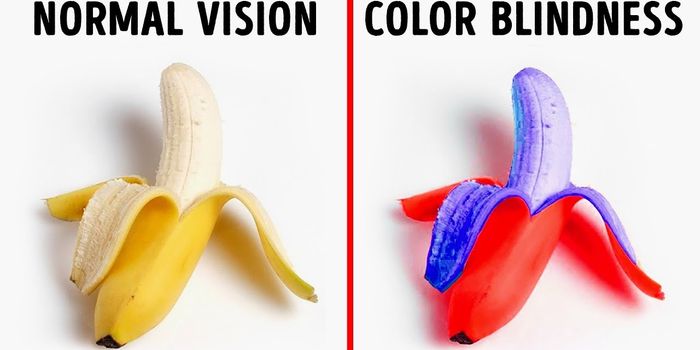 What It's Like To Be Color Blind