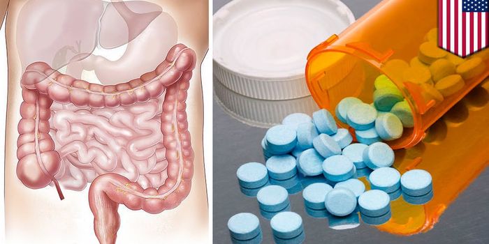 Gut Bacteria may be Impacting Drug Metabolism