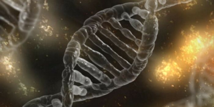 Renal Cell Carcinoma and Myelodysplastic Syndrome Show Epigenetic Association