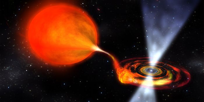 'Star Spots' Spotted on MSP's Companion Star for the First Time