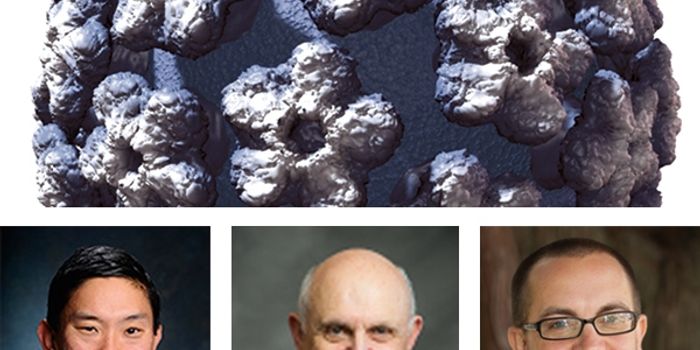 Early-Adopter Backs Using HPV as Primary Screen for Cervical Cancer: Two medical societies recently issued interim guidance