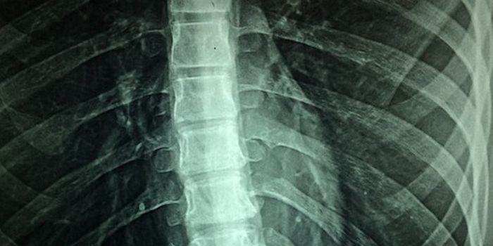 Spinal Cord Can Do More Than We Thought