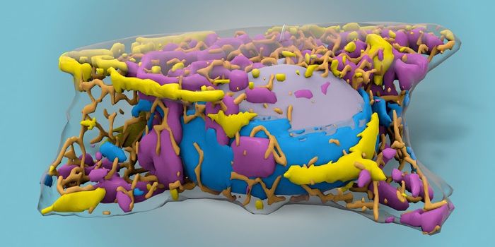 Seeing Inside of a Living Cell