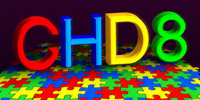 Study Shows Connection Between Key Autism Risk Genes in Human Brain