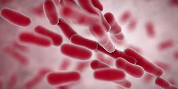 Mechanism of Resistance in Gram-negative Bacteria to Beta-Lactam Antibiotics