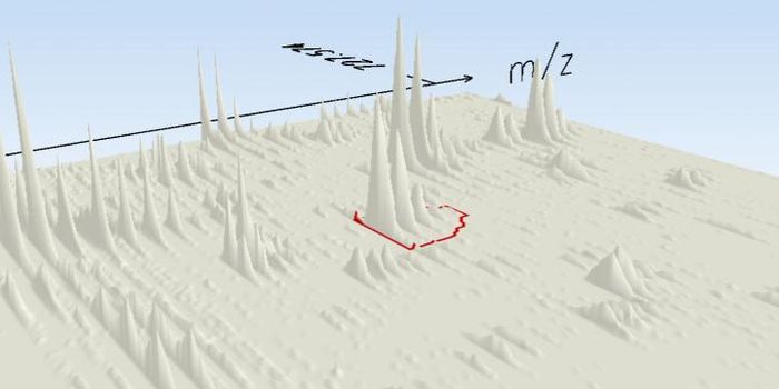 Discovering An Early Warning System for Type 1 Diabetes