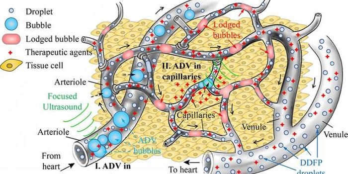 Gas Embolotherapy: Potential New Drug Delivery System