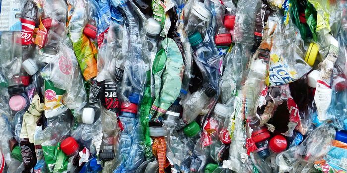 Scientists Upcycle Plastics to Fight Climate Change