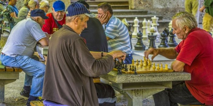 Games and Socializing Keep the Brain in Shape