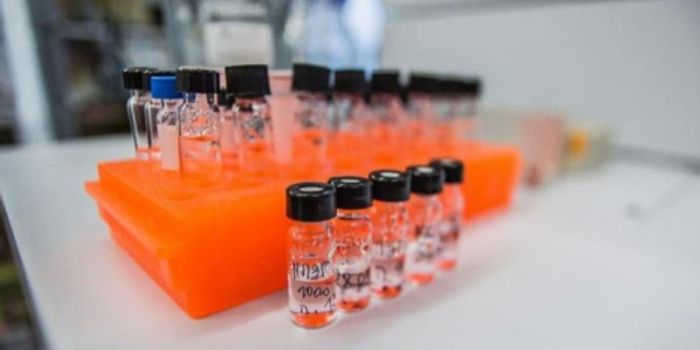 3D Hydrogel Biochips Improve Colon Cancer Detection