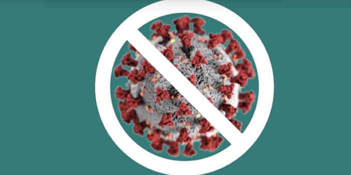 COVID-19 - What To Do If You Get Sick