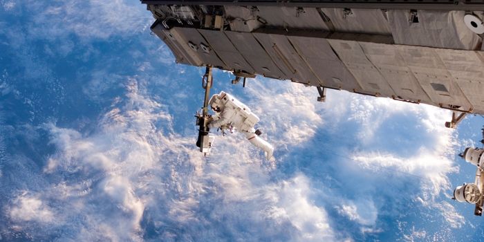 In Space, Dormant Viruses Can Reactivate