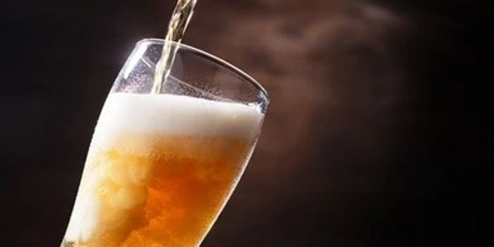 How can beer yeast help reduce heavy metal contamination in water?