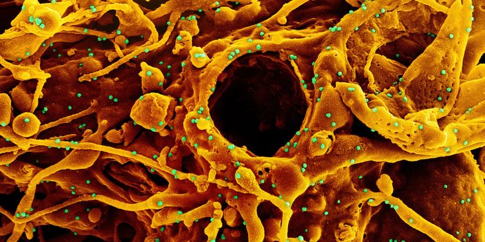 A Direct Comparison of COVID-19 Vaccines