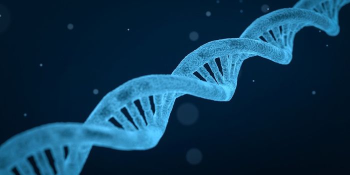 Expanding the Diagnostic Toolkit in Cancer Research with isomiRNAs