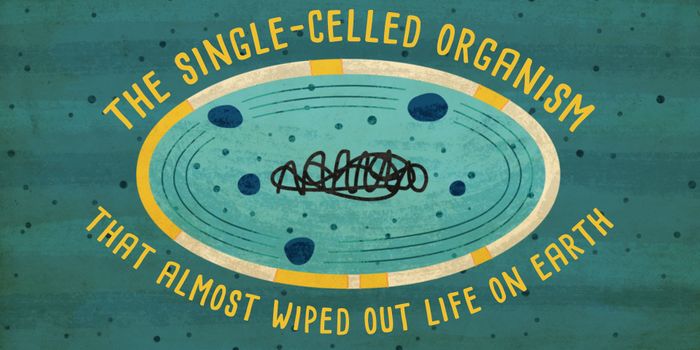 The Organism that Changed the World