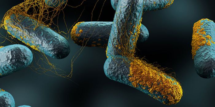 Microbial Life After Death