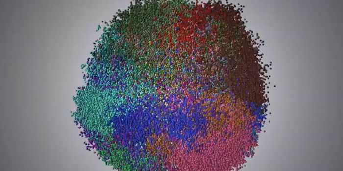 Using Cellular Barcoding to Understand the Spread of Breast Cancer