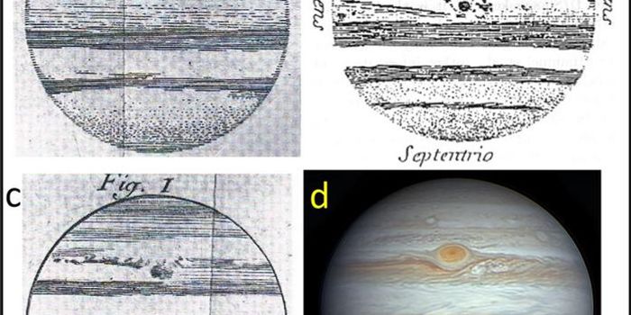 Jupiter's Great Red Spot: A Different Spot from Cassini's 1665 Observation