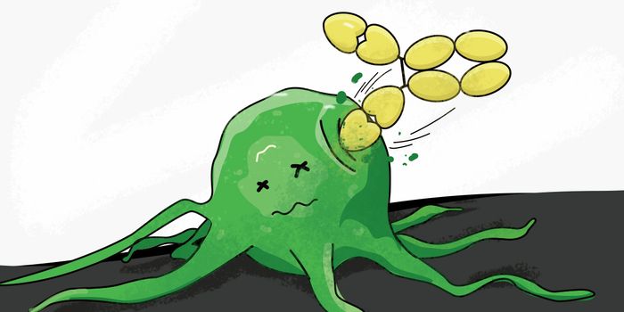 Antibody-drug Conjugates: A Novel Paradigm for Cancer Therapy