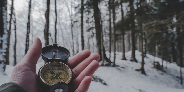 Read a Map, Run, and Recall: How Orienteering can Fight Dementia