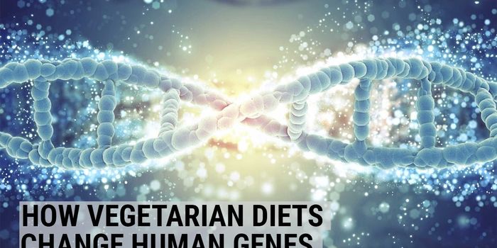 Vegetarian Diet Alters Genetic Mutations