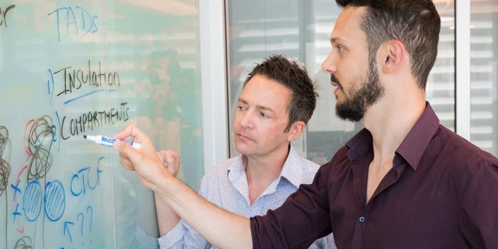 Unlocking the Mysteries of DNA Organization in Humans