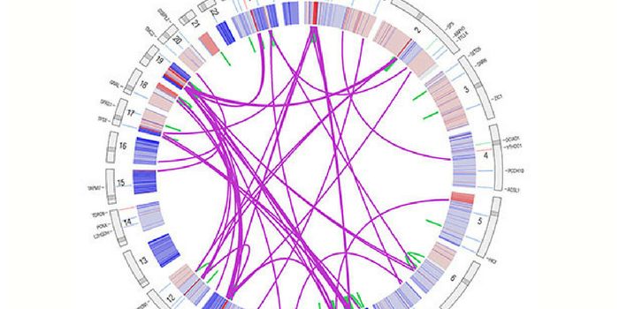 PanCancer Atlas of 33 Cancer Types for Genomic Profile Index Completed by NIH TCGA