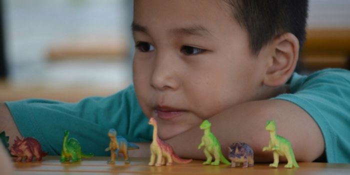 Building A Database For Autism Research