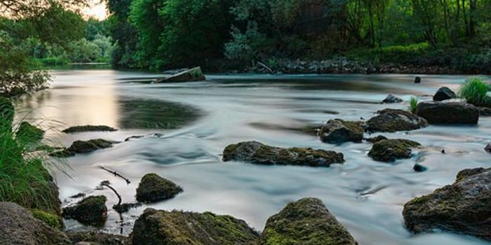 What is the Effect of Green Tea and Resistance Training on Blood Pressure?